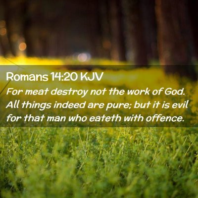 Picture 02 - Romans 14:20 KJV - For meat destroy not the work of God. All things - Bible Verse Picture