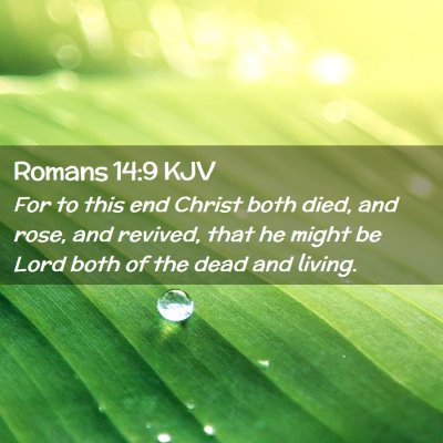 Picture 02 - Romans 14:9 KJV - For to this end Christ both died, and rose, and - Bible Verse Picture
