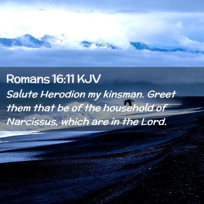 Picture 02 - Romans 16:11 KJV - Salute Herodion my kinsman. Greet them that be of - Bible Verse Picture