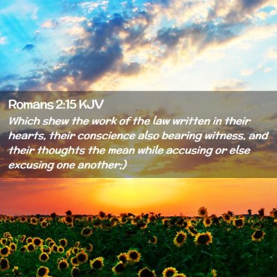 Picture 02 - Romans 2:15 KJV - Which shew the work of the law written in their - Bible Verse Picture