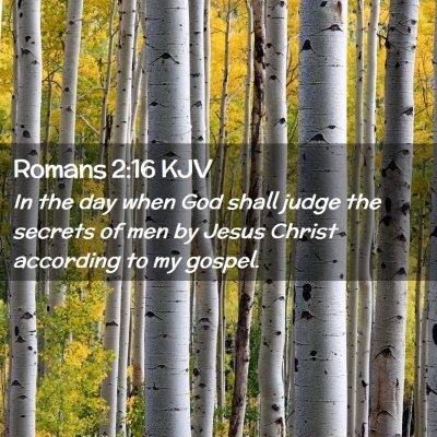 Picture 02 - Romans 2:16 KJV - In the day when God shall judge the secrets of - Bible Verse Picture