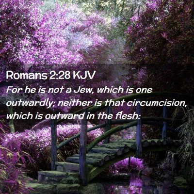 Picture 02 - Romans 2:28 KJV - For he is not a Jew, which is one outwardly; - Bible Verse Picture