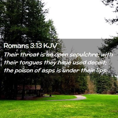 Picture 02 - Romans 3:13 KJV - Their throat is an open sepulchre; with their - Bible Verse Picture