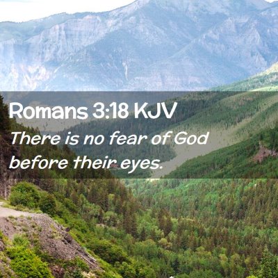 Picture 02 - Romans 3:18 KJV - There is no fear of God before their - Bible Verse Picture