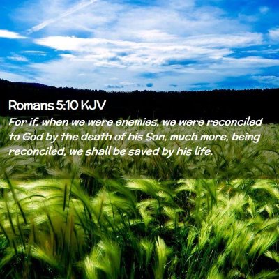 Picture 02 - Romans 5:10 KJV - For if, when we were enemies, we were reconciled - Bible Verse Picture