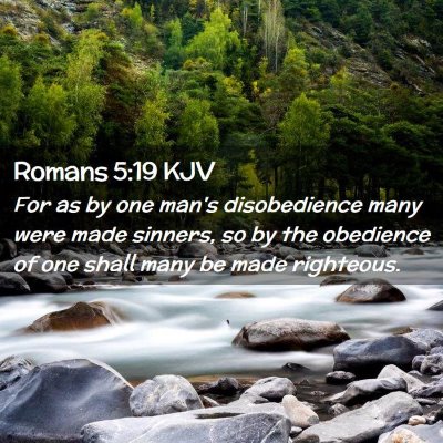 Picture 02 - Romans 5:19 KJV - For as by one man's disobedience many were made - Bible Verse Picture