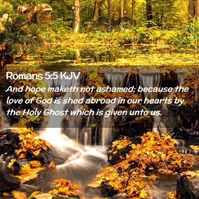Picture 02 - Romans 5:5 KJV - And hope maketh not ashamed; because the love of - Bible Verse Picture