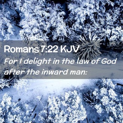 Picture 02 - Romans 7:22 KJV - For I delight in the law of God after the inward - Bible Verse Picture