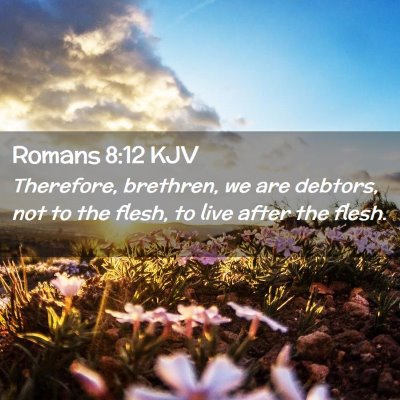 Picture 02 - Romans 8:12 KJV - Therefore, brethren, we are debtors, not to the - Bible Verse Picture