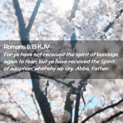 Picture 02 - Romans 8:15 KJV - For ye have not received the spirit of bondage - Bible Verse Picture