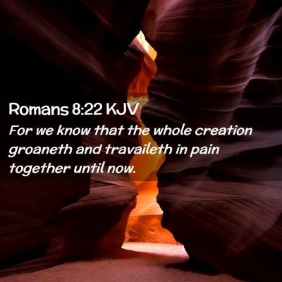 Picture 02 - Romans 8:22 KJV - For we know that the whole creation groaneth and - Bible Verse Picture