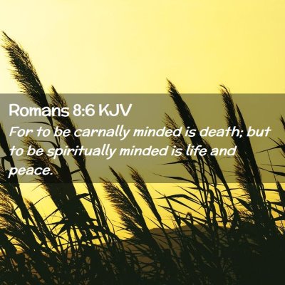 Picture 02 - Romans 8:6 KJV - For to be carnally minded is death; but to be - Bible Verse Picture