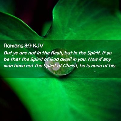 Picture 02 - Romans 8:9 KJV - But ye are not in the flesh, but in the Spirit, - Bible Verse Picture