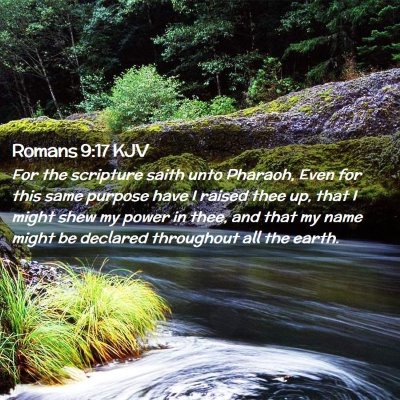 Picture 02 - Romans 9:17 KJV - For the scripture saith unto Pharaoh, Even for - Bible Verse Picture