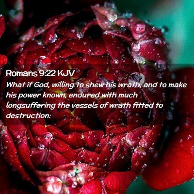 Picture 02 - Romans 9:22 KJV - What if God, willing to shew his wrath, and to - Bible Verse Picture
