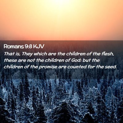 Picture 02 - Romans 9:8 KJV - That is, They which are the children of the - Bible Verse Picture