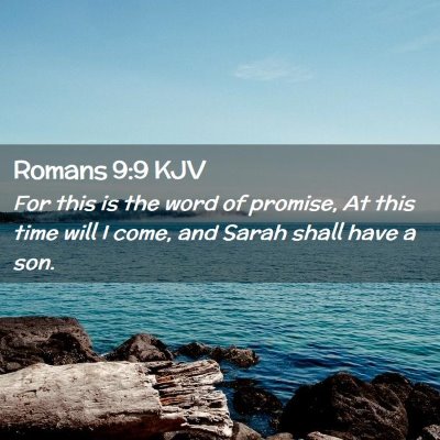 Picture 02 - Romans 9:9 KJV - For this is the word of promise, At this time - Bible Verse Picture