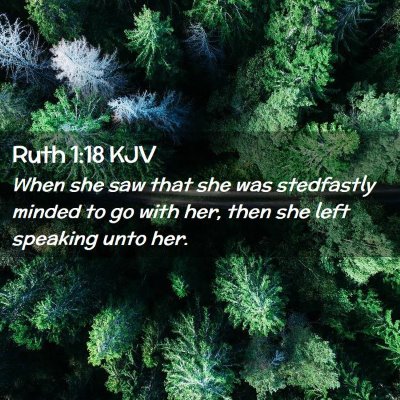 Picture 02 - Ruth 1:18 KJV - When she saw that she was stedfastly minded to go - Bible Verse Picture