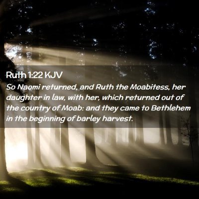 Picture 02 - Ruth 1:22 KJV - So Naomi returned, and Ruth the Moabitess, her - Bible Verse Picture