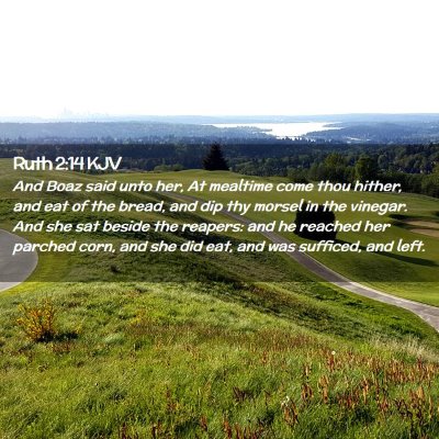 Picture 02 - Ruth 2:14 KJV - And Boaz said unto her, At mealtime come thou - Bible Verse Picture