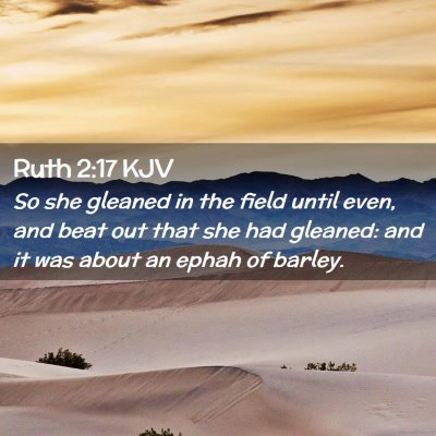 Picture 02 - Ruth 2:17 KJV - So she gleaned in the field until even, and beat - Bible Verse Picture