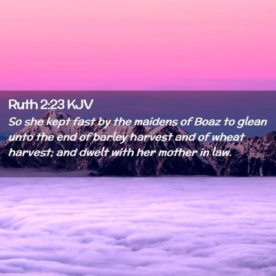 Picture 02 - Ruth 2:23 KJV - So she kept fast by the maidens of Boaz to glean - Bible Verse Picture