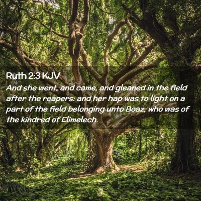 Picture 02 - Ruth 2:3 KJV - And she went, and came, and gleaned in the field - Bible Verse Picture