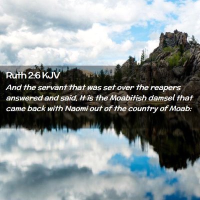 Picture 02 - Ruth 2:6 KJV - And the servant that was set over the reapers - Bible Verse Picture