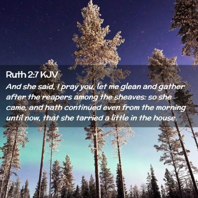 Picture 02 - Ruth 2:7 KJV - And she said, I pray you, let me glean and gather - Bible Verse Picture
