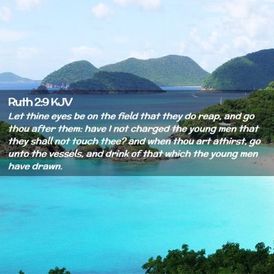 Picture 02 - Ruth 2:9 KJV - Let thine eyes be on the field that they do reap, - Bible Verse Picture