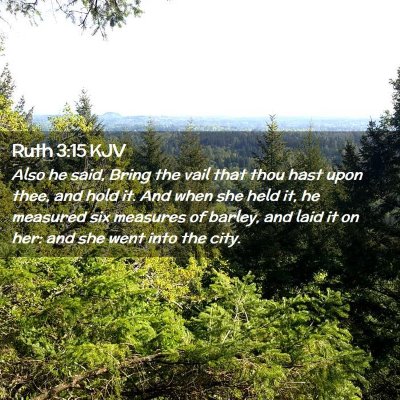 Picture 02 - Ruth 3:15 KJV - Also he said, Bring the vail that thou hast upon - Bible Verse Picture