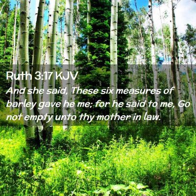 Picture 02 - Ruth 3:17 KJV - And she said, These six measures of barley gave - Bible Verse Picture