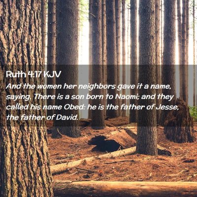 Picture 02 - Ruth 4:17 KJV - And the women her neighbors gave it a name, - Bible Verse Picture