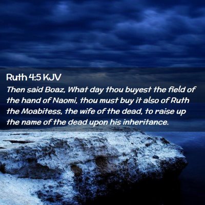 Picture 02 - Ruth 4:5 KJV - Then said Boaz, What day thou buyest the field of - Bible Verse Picture