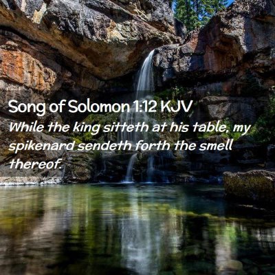 Picture 02 - Song of Solomon 1:12 KJV - While the king sitteth at his table, my spikenard - Bible Verse Picture