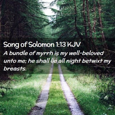 Picture 02 - Song of Solomon 1:13 KJV - A bundle of myrrh is my well-beloved unto me; he - Bible Verse Picture