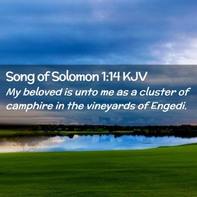 Picture 02 - Song of Solomon 1:14 KJV - My beloved is unto me as a cluster of camphire in - Bible Verse Picture