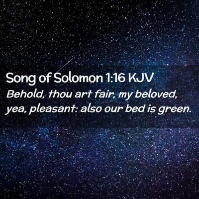 Picture 02 - Song of Solomon 1:16 KJV - Behold, thou art fair, my beloved, yea, pleasant: - Bible Verse Picture