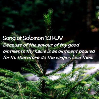 Picture 02 - Song of Solomon 1:3 KJV - Because of the savour of thy good ointments thy - Bible Verse Picture