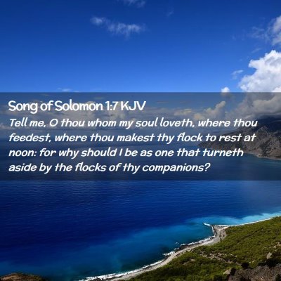 Picture 02 - Song of Solomon 1:7 KJV - Tell me, O thou whom my soul loveth, where thou - Bible Verse Picture
