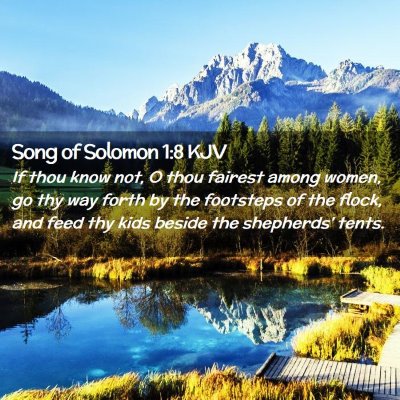 Picture 02 - Song of Solomon 1:8 KJV - If thou know not, O thou fairest among women, go - Bible Verse Picture