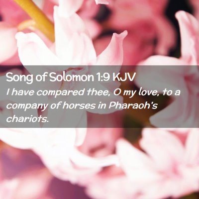 Picture 02 - Song of Solomon 1:9 KJV - I have compared thee, O my love, to a company of - Bible Verse Picture