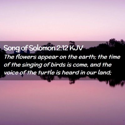 Picture 02 - Song of Solomon 2:12 KJV - The flowers appear on the earth; the time of the - Bible Verse Picture