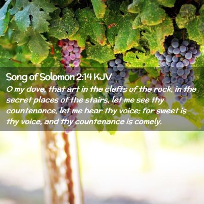 Picture 02 - Song of Solomon 2:14 KJV - O my dove, that art in the clefts of the rock, in - Bible Verse Picture