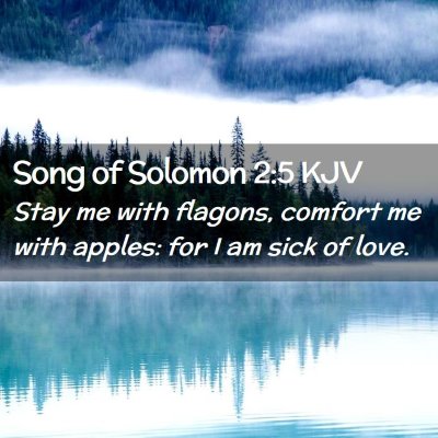 Picture 02 - Song of Solomon 2:5 KJV - Stay me with flagons, comfort me with apples: for - Bible Verse Picture