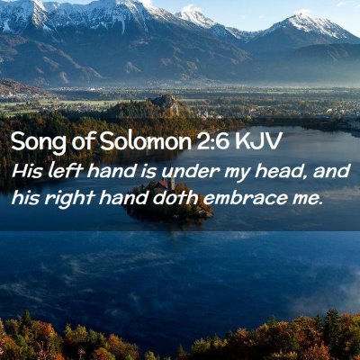 Picture 02 - Song of Solomon 2:6 KJV - His left hand is under my head, and his right - Bible Verse Picture