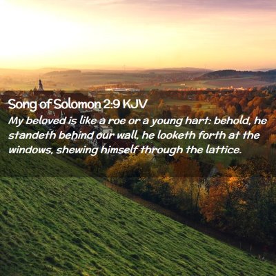 Picture 02 - Song of Solomon 2:9 KJV - My beloved is like a roe or a young hart: behold, - Bible Verse Picture