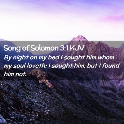 Picture 02 - Song of Solomon 3:1 KJV - By night on my bed I sought him whom my soul - Bible Verse Picture