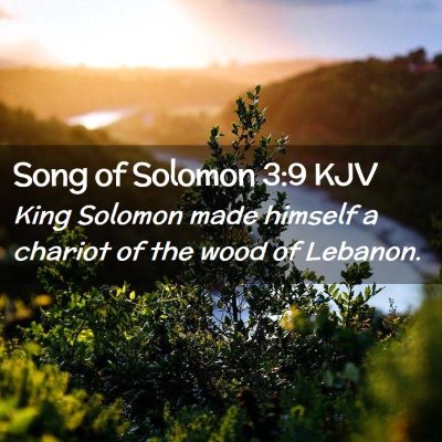 Picture 02 - Song of Solomon 3:9 KJV - King Solomon made himself a chariot of the wood - Bible Verse Picture