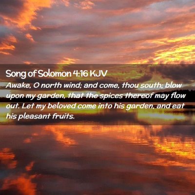 Picture 02 - Song of Solomon 4:16 KJV - Awake, O north wind; and come, thou south; blow - Bible Verse Picture